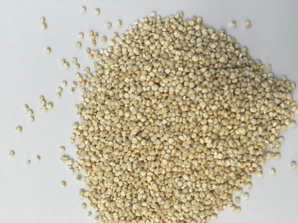 quinoa