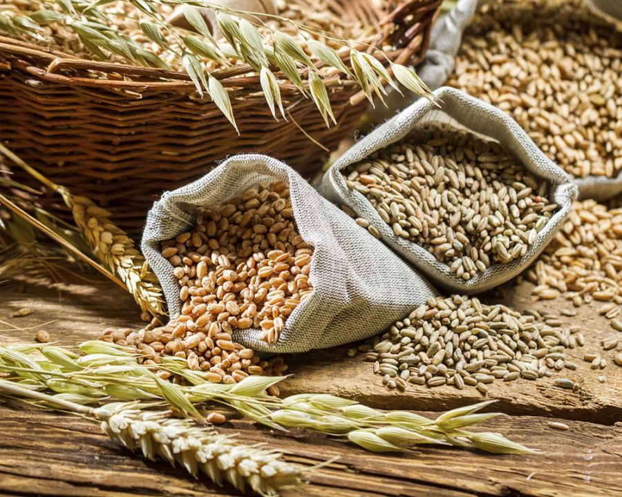 9 alimentos que impulsionam seu metabolismo naturalmente!