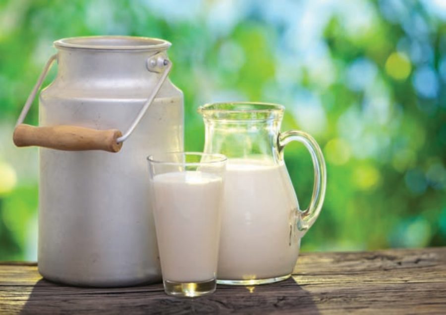 9 alimentos que impulsionam seu metabolismo naturalmente!