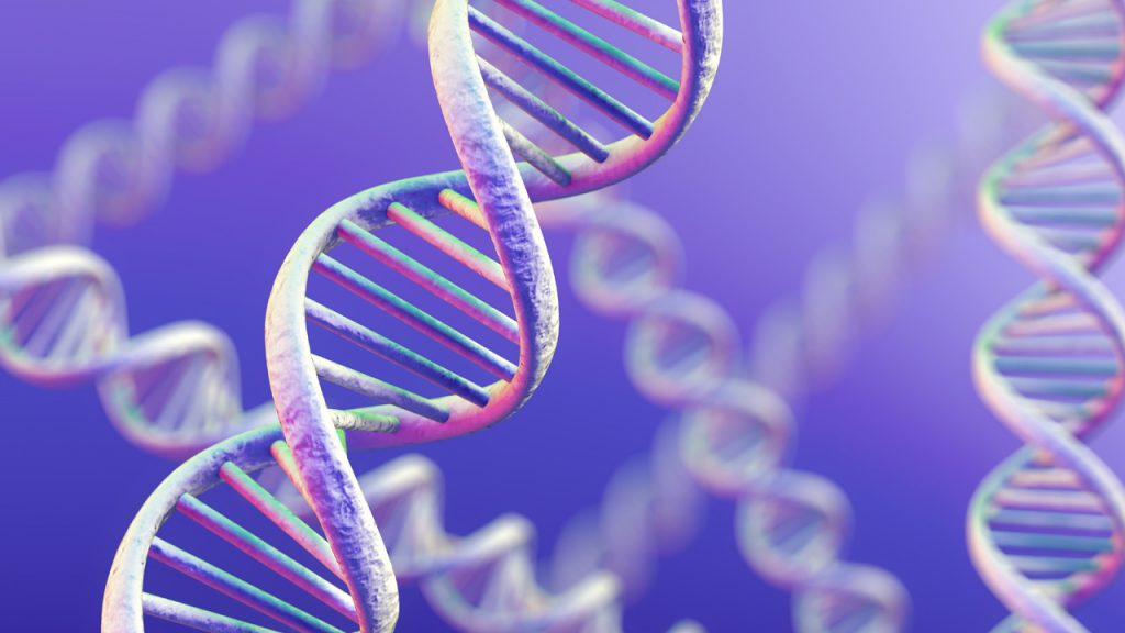 Novo teste de DNA pode revelar probabilidade de câncer!