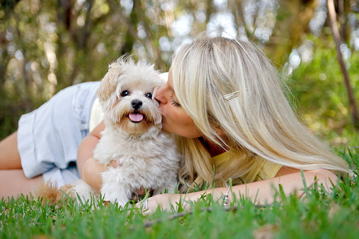 Você tem cachorro? O motivo provavelmente está no seu DNA!