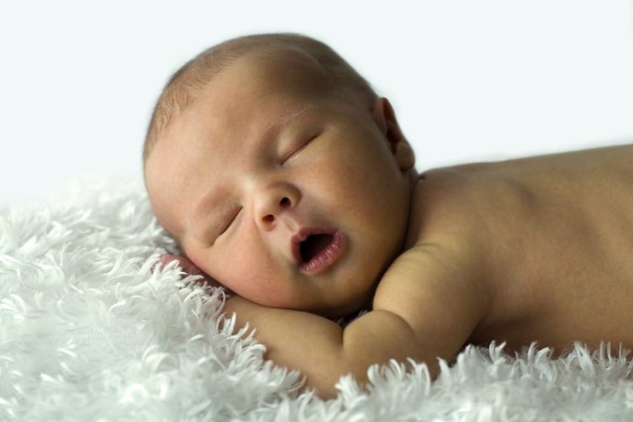 rais-data-soneca-bebes