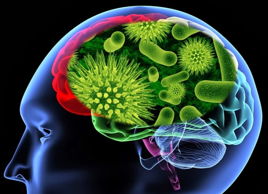 rais-data-virus-amigo-desenvolvimento-cerebral