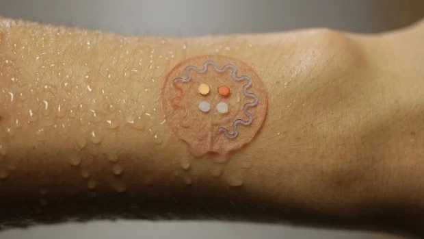 This sweat patch developed by scientists is able to track your health. (J. Rogers, Northwestern University)