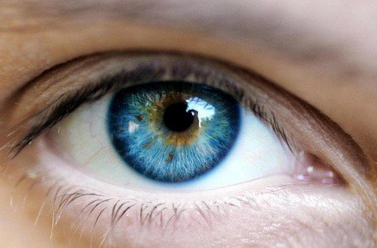 Com a chegada da primavera, alergias oculares podem aumentar