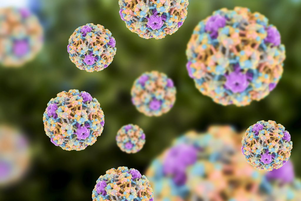 4 mitos sobre o HPV, vírus de transmissão sexual que afeta muitas pessoas!