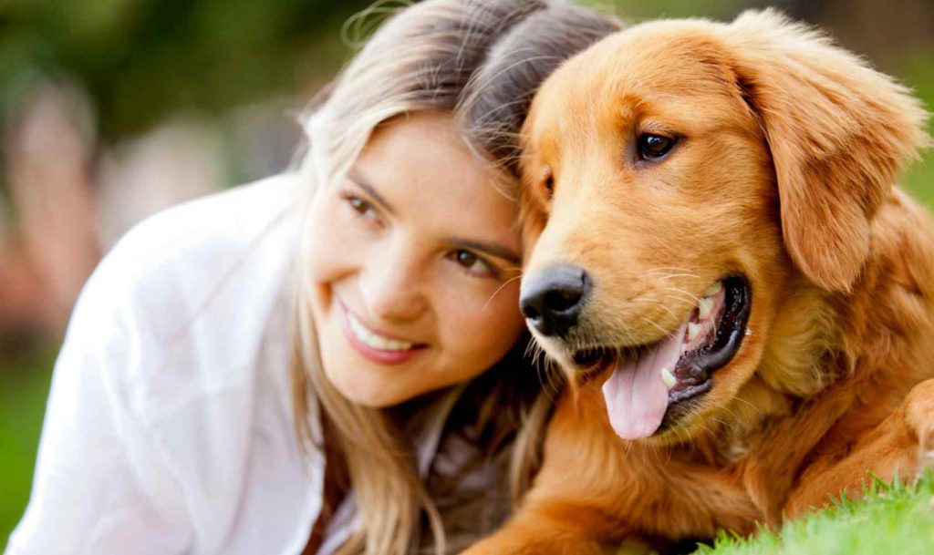 Você tem cachorro? O motivo provavelmente está no seu DNA!