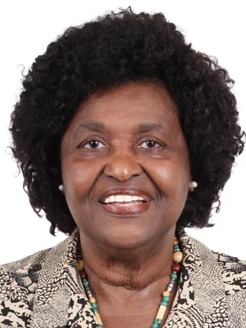 Foto oficial de Benedita da Silva