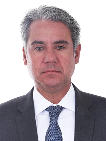 Foto oficial de Fernando Monteiro
